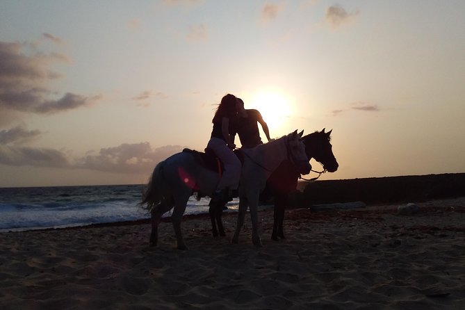 Aruba Beach Ecological Horseback Ride - What to Wear and Bring for Comfort