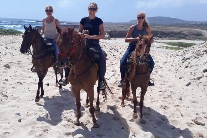 Aruba Countryside: Horseback Adventure to Urirama Cove - Key Details Before You Saddle Up