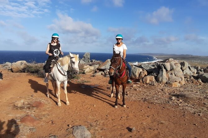 Aruba Countryside: Horseback Adventure to Urirama Cove - Learning the Basics Before the Trail