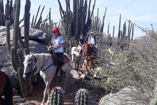 Aruba Countryside: Horseback Adventure to Urirama Cove - What the $115 Price Really Covers