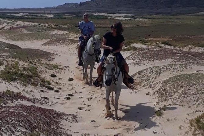 Aruba Countryside: Horseback Adventure to Urirama Cove - Timing, Transport, and Small Rules That Matter