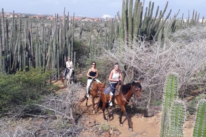 Aruba Countryside: Horseback Adventure to Urirama Cove - Riding Through Aruba’s Cactus Country