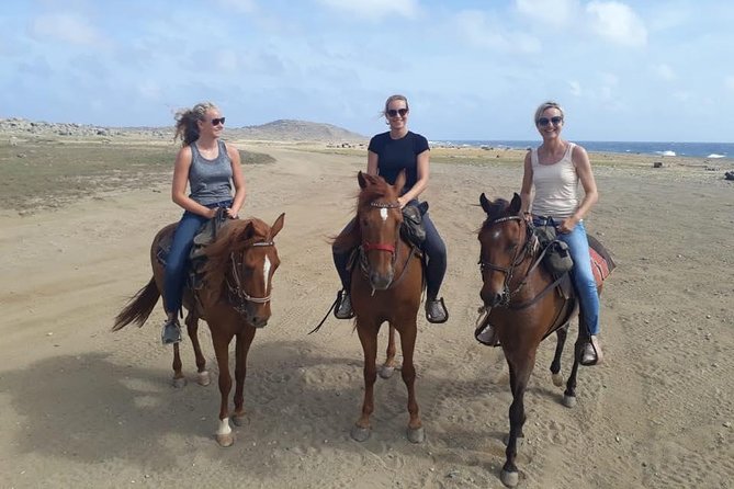 Aruba Horseback Riding Tour For Advanced Riders - Key points before you saddle up