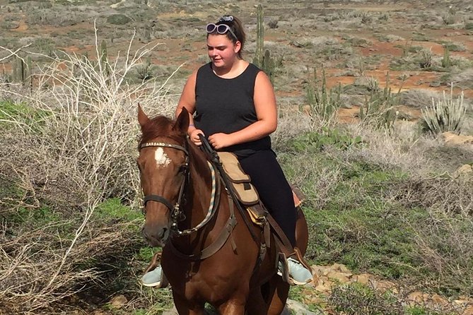 Aruba Horseback Riding Tour For Advanced Riders - The coast and the possible gallop