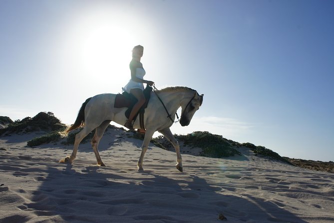 Aruba Horseback Riding Tour For Advanced Riders - Horses, tack, and rider comfort