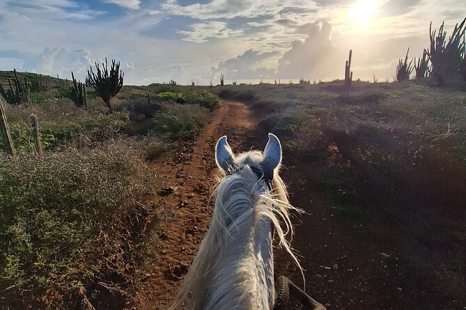 Aruba Horseback Riding Tour For Advanced Riders - Transport matters more than it first appears