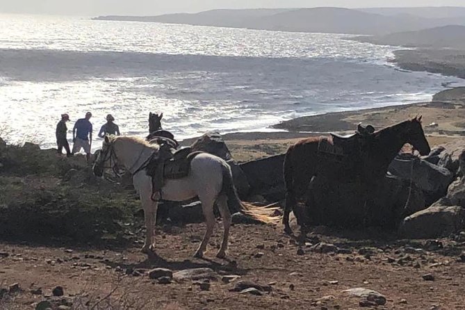 Aruba Horseback Riding Tour For Advanced Riders - Is $125 a fair price?