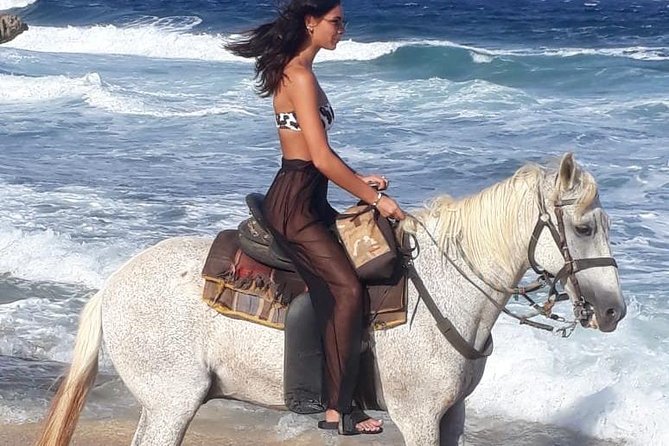 Aruba Horseback Riding Tour For Advanced Riders - The inland trail: cactus, animals, and open views
