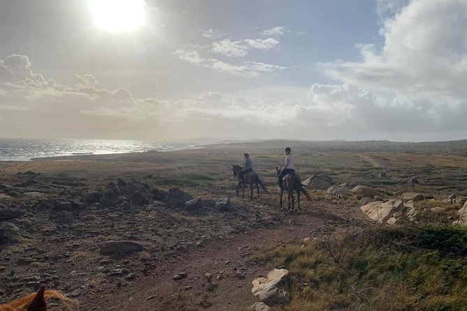 Aruba Horseback Riding Tour to Alto Vista Chapel - Practical ways to prepare