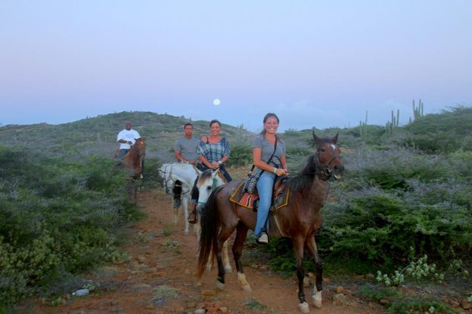 Aruba Horseback Riding Tour to Hidden Lagoon - Key Points at a Glance