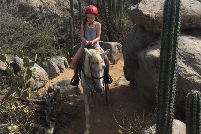Aruba Horseback Riding Tour to Hidden Lagoon - Is $105 a Fair Price for One Hour?