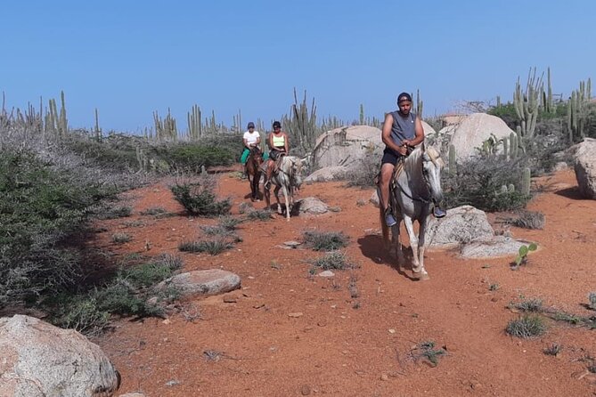 Aruba Horseback Riding Tour to Hidden Lagoon - Who Will Enjoy This Ride Most?