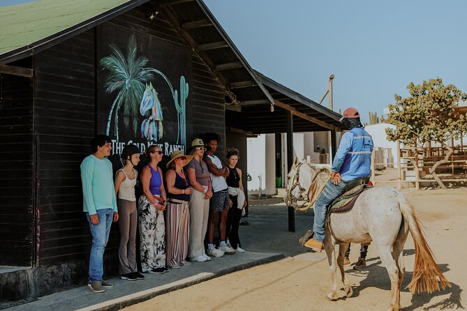 Aruba North Coastline: Small-Group Horseback Riding Tour - Starting at Matividiri: Instructions Before the Ride