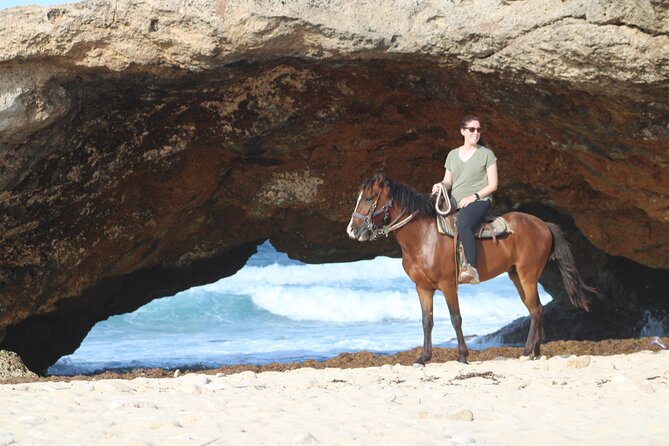 Aruba North Coastline: Small-Group Horseback Riding Tour - Wariruri Bay, Dunes, and the Baby Natural Bridge