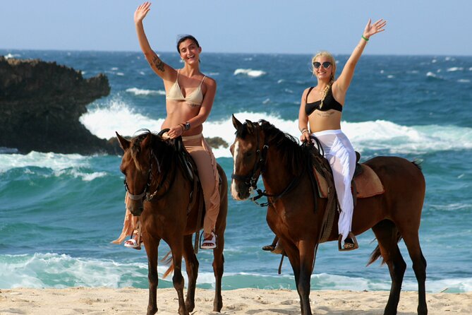 Aruba North Coastline: Small-Group Horseback Riding Tour - What the Small Group Adds