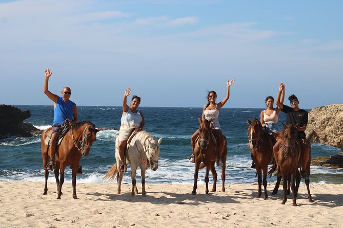 Aruba North Coastline: Small-Group Horseback Riding Tour - Horses, Guides, and Comfort on the Trail