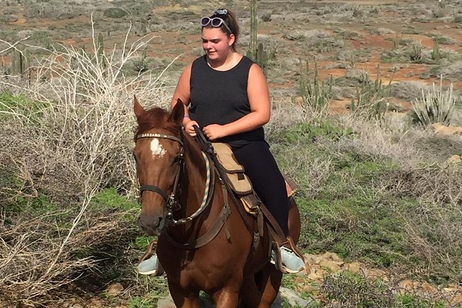 Aruba Private, 2 Hour Horseback Riding Tour For Advanced Riders - Starting at Rancho Notorious in Aruba’s countryside