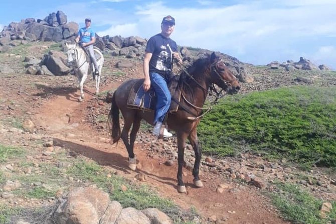 Aruba Private, 2 Hour Horseback Riding Tour For Advanced Riders - What the private format is worth at $285