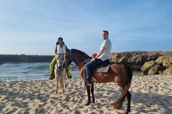 Aruba's Northern Coast Horseback Adventure - Why the Horses Matter So Much