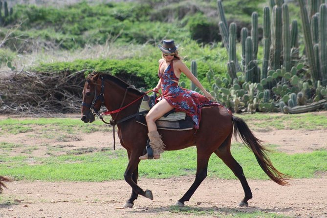 Aruba's Northern Coast Horseback Adventure - How the Guides Shape the Ride