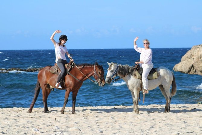 Aruba's Northern Coast Horseback Adventure - Who Should Book This Ride?