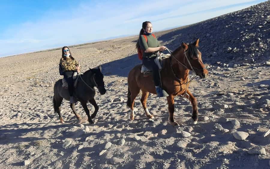 Atacama Desert: Horseback Adventure with Scenic Views - Why horseback riding works in the Atacama