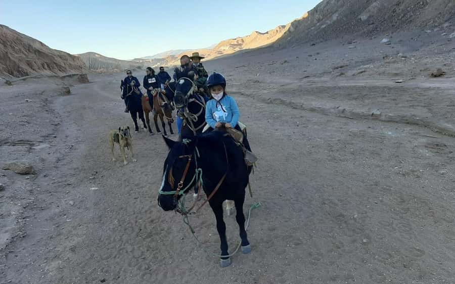 Atacama Desert: Horseback Adventure with Scenic Views - Dinosaur Valley and the marks of ancient life