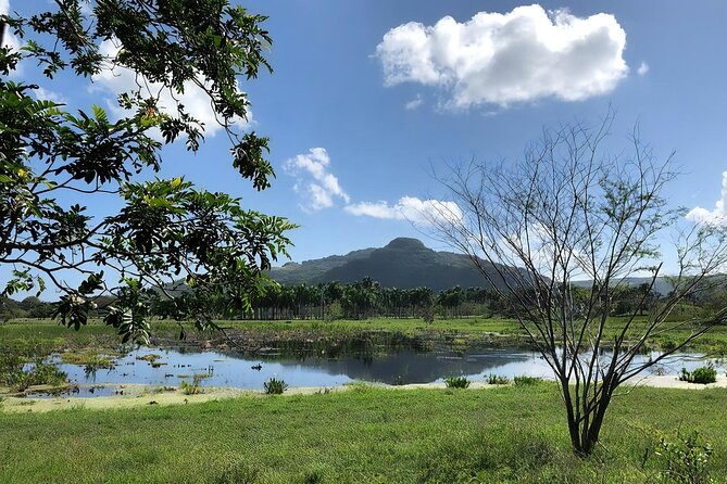 ATV and Horse Riding in Puerto Plata / Shore Excursion & Hotel - A Dominican Lunch That Adds Real Value