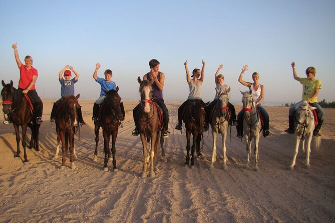 ATV horse stargazing - Key points before you book