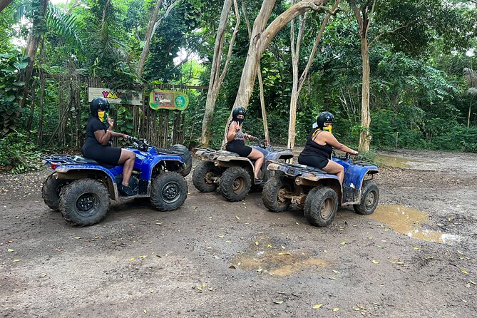 ATV , Horseback Ride & Ricks Cafe Sunset Tour From Montego Bay - Horseback Riding And The Swim Segment