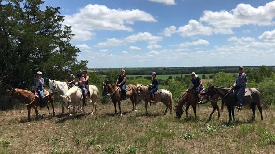 Austin: Maverick Horsemanship Trail Ride - A Horsemanship Ride With Real Time in the Saddle