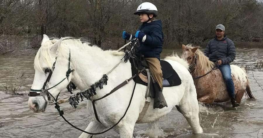 Austin: Maverick Horsemanship Trail Ride - Scenic Riding South of Austin