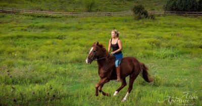 Austin: Maverick Horsemanship Trail Ride