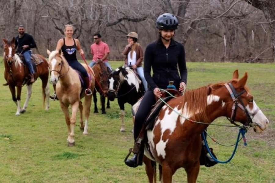 Austin: Maverick Horsemanship Trail Ride - Why the Small Group Matters