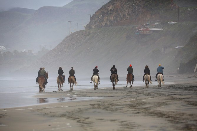 Authentic horseback riding in beautiful La Mision - Key points at a glance
