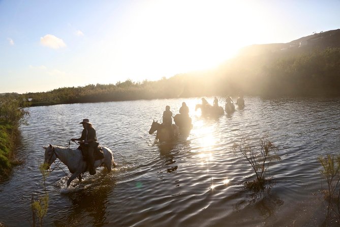 Authentic horseback riding in beautiful La Mision - Through La Mision’s trails and estuary