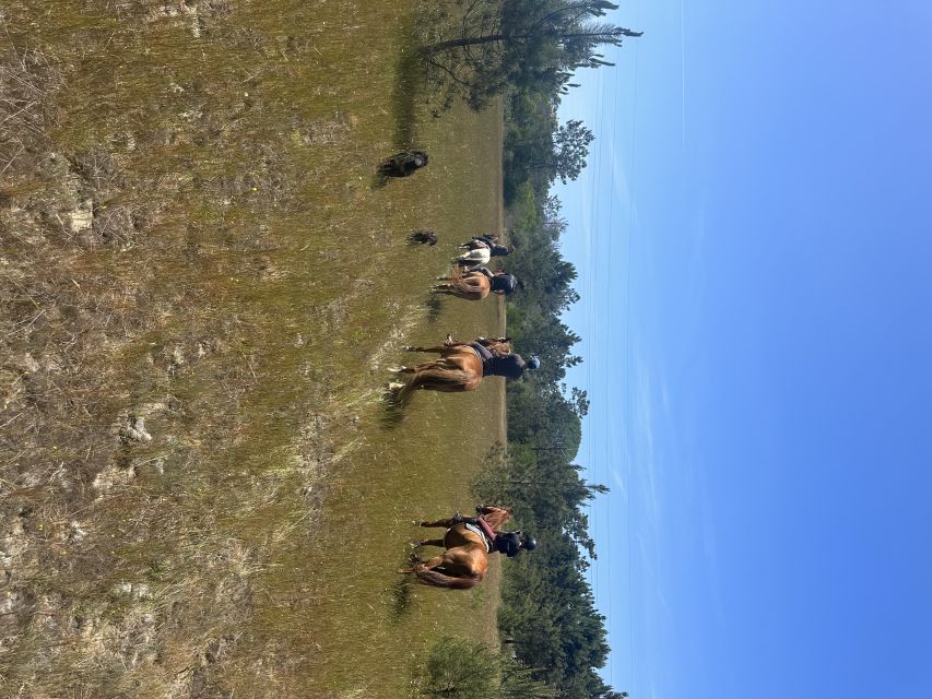 Aveiro: Horse Riding Experience with Instructor - Key points before you book