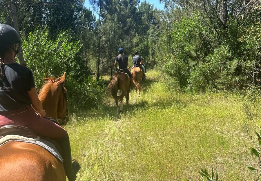Aveiro: Horse Riding Experience with Instructor - A rural setting five minutes from Aveiro