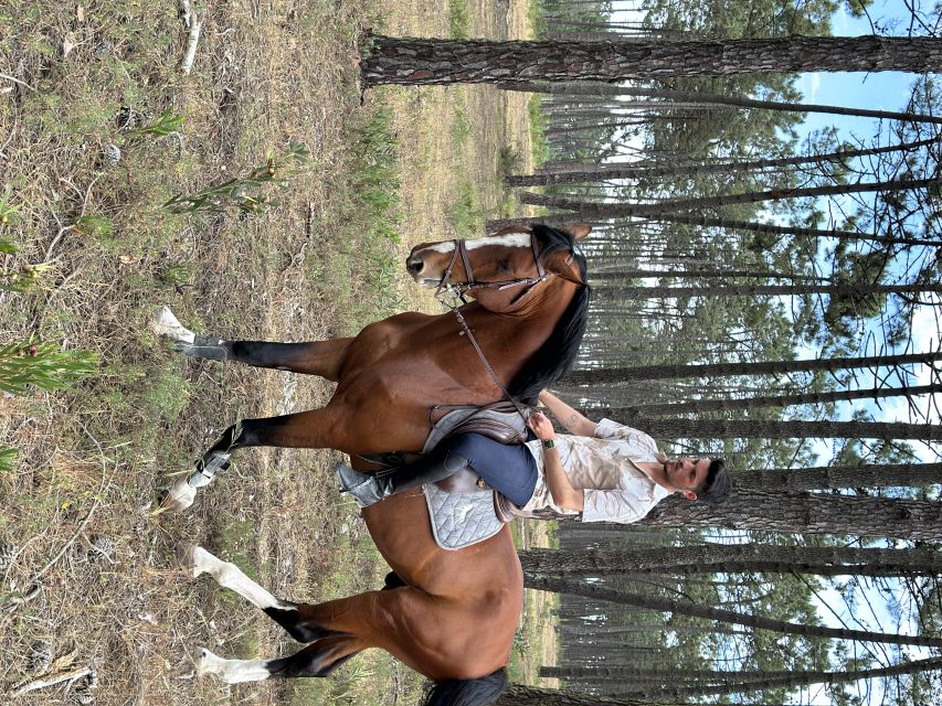 Aveiro: Horse Riding Experience with Instructor - The horses are part of the appeal