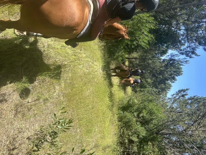 Aveiro: Horse Riding Experience with Instructor - Who should book this Aveiro ride