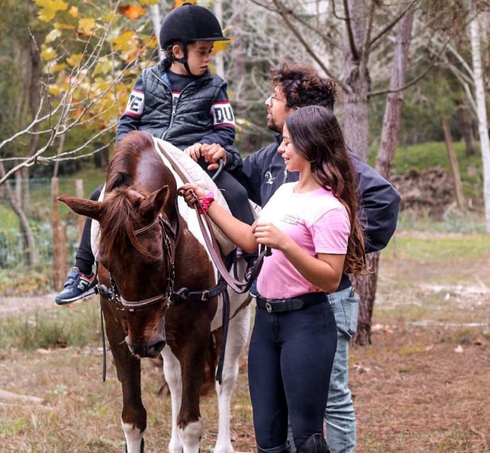Aveiro: Horseback Riding at a Pedagogical Farm - How the horse riding may feel for a beginner