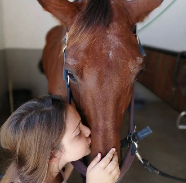 Aveiro: Horseback Riding at a Pedagogical Farm - Who will enjoy this most?