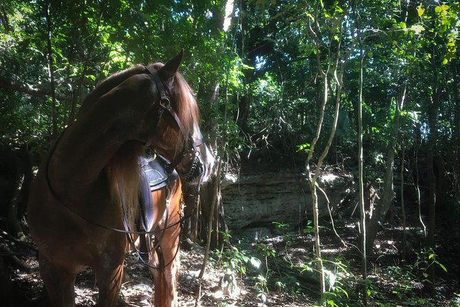 Award-winning Classic Horseback Ride (max. 6 riders) - What makes Rancho Baaxal different