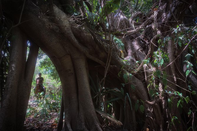Award-winning Classic Horseback Ride (max. 6 riders) - The Mayan ruins and local stories