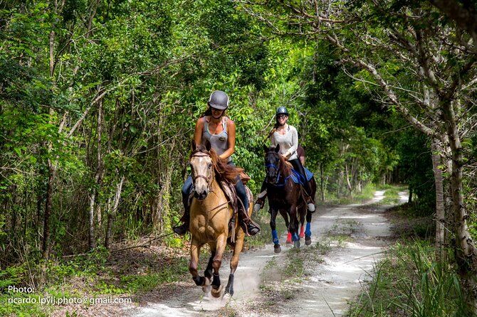 Award-winning Private Classic Horseback Ride - Horse assignments that take your ability seriously