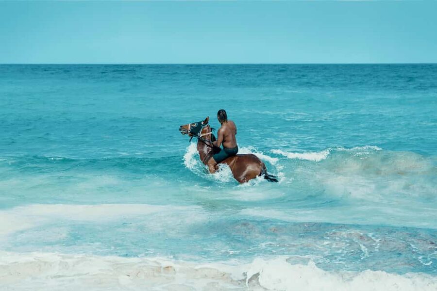 Bahamas: Nassau Horseback Riding on Beaches & Trails - From Nassau ranch to woodland trail