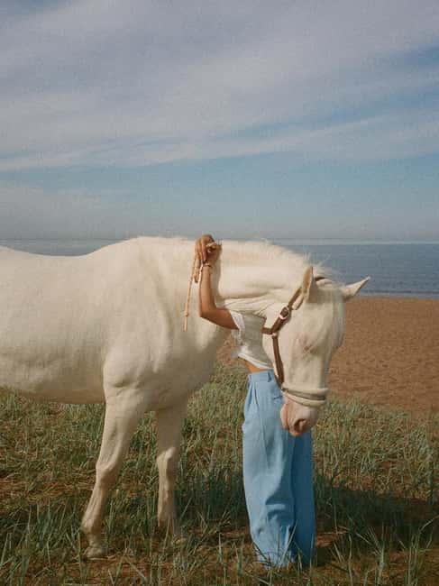 Bahamas: Nassau Horseback Riding on Beaches & Trails - Booking details that deserve attention