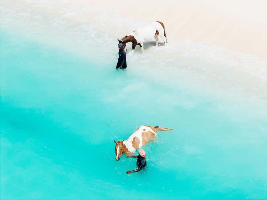 Bahamas: Nassau Horseback Riding on Beaches & Trails - Two private beaches, not one crowded stop