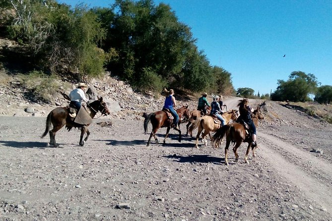 Baja Desert Horseback Riding Tour - Riding through Loreto’s desert at a relaxed pace