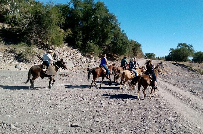 Baja Desert Horseback Riding Tour - The coastal section and the Sea of Cortez